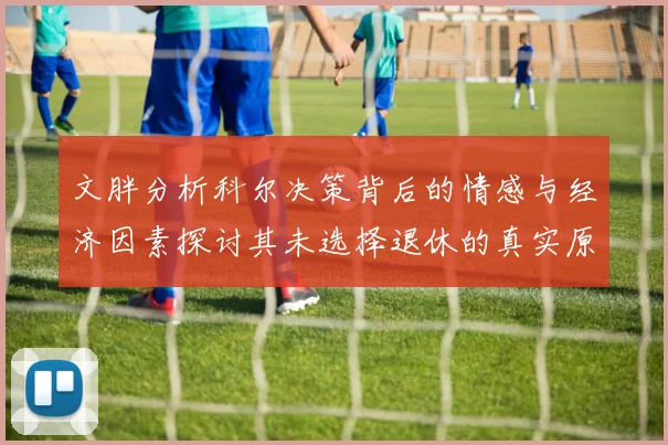 文胖分析科尔决策背后的情感与经济因素探讨其未选择退休的真实原因